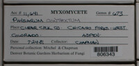Image Associated With the Occurence